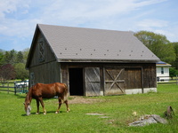 Thumbnail of metal roof photo