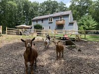 Thumbnail of metal roof photo