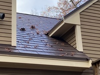Thumbnail of metal roof photo